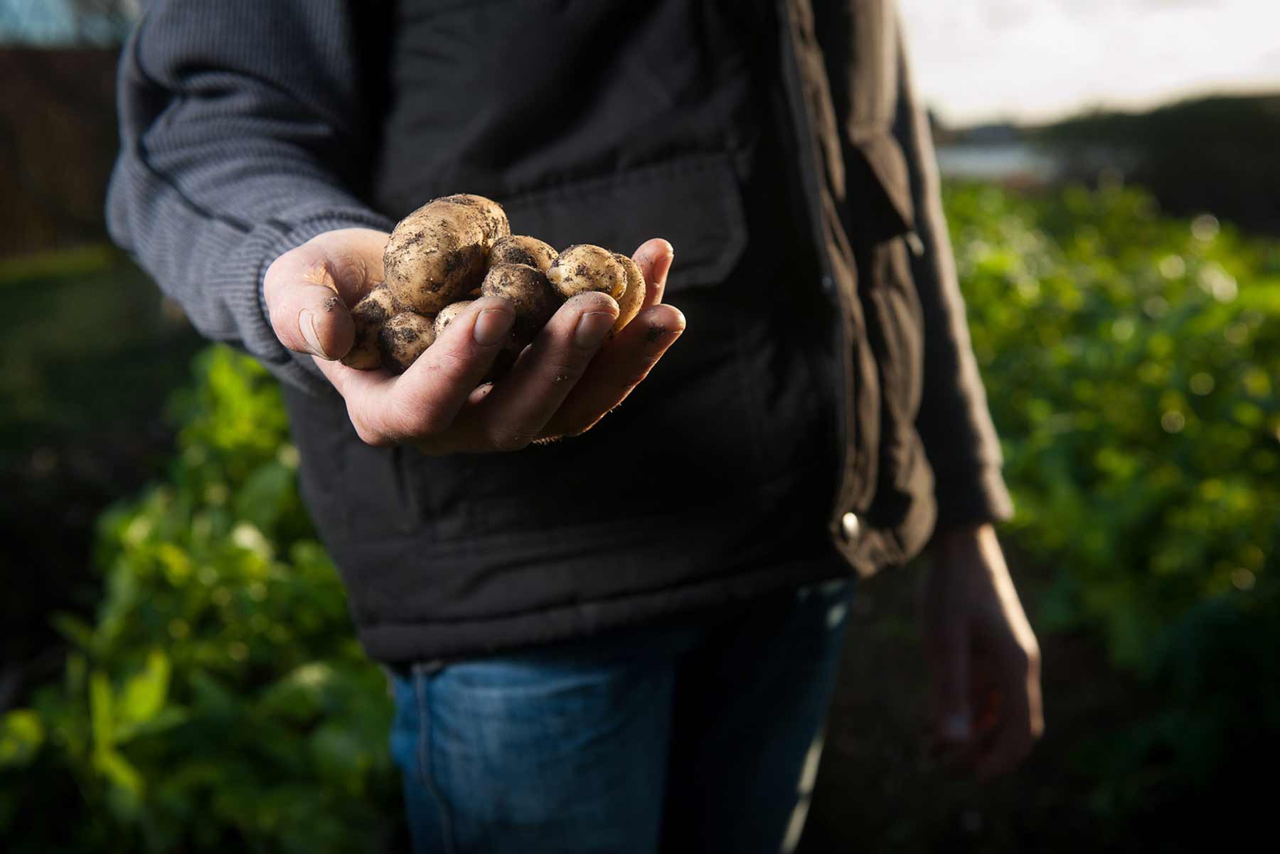 Organic Certification – EU Countries