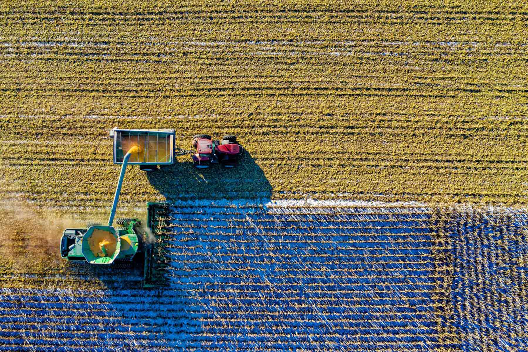 AGRO 2