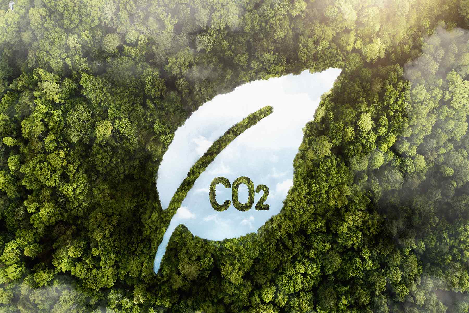 ISO 14067 – Carbon Footprint Validation